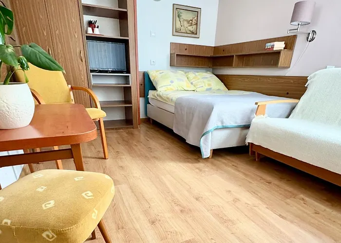 Fonica Nocleg ze śniadaniem 3*